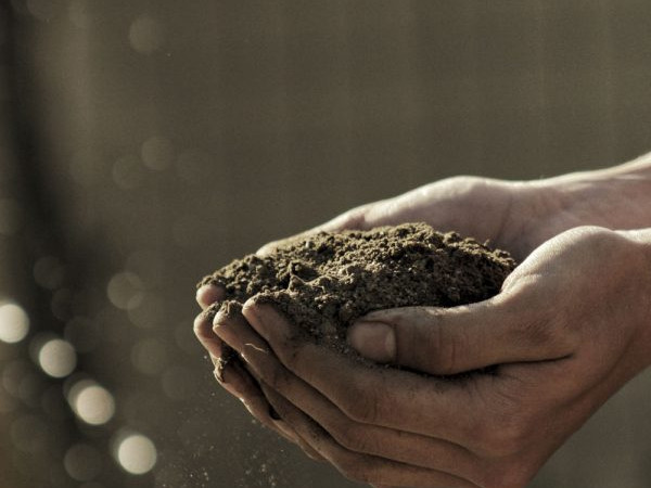 Fermiers de Provence - Producteurs de légumes secs en Provence