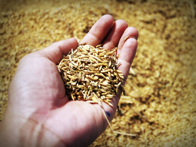 Fermiers de Provence - Producteurs de légumes secs en Provence